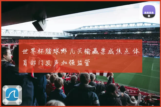 世界杯赌球哪儿买输赢票成焦点 体育部门发声加强监管