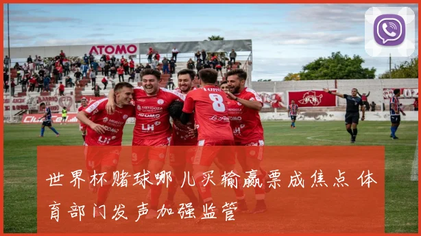 世界杯赌球哪儿买输赢票成焦点 体育部门发声加强监管