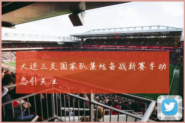 大连三支国家队集结备战新赛季动态引关注