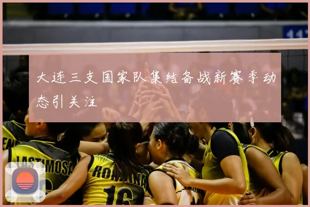 大连三支国家队集结备战新赛季动态引关注