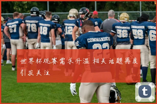 世界杯观赛需求升温 相关话题再度引发关注