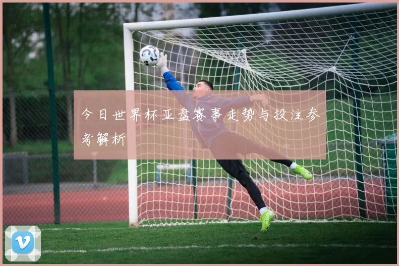 今日世界杯亚盘赛事走势与投注参考解析