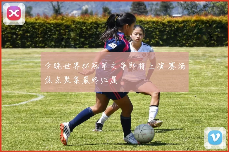 今晚世界杯冠军之争即将上演 赛场焦点聚集最终归属
