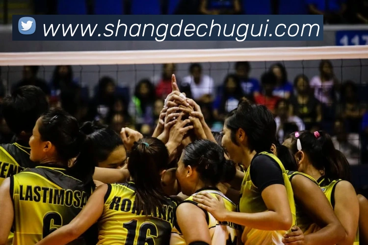 云开体app登录入口服务体系