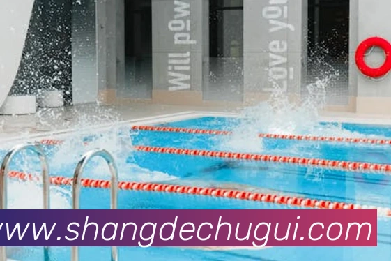 多媒体互动体验