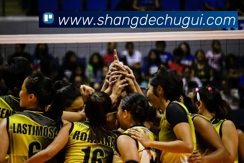 云开体app登录入口APP 体育赛事宣传图